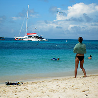 Full-Day Michaelmas Cay and Great Barrier Reef Tour