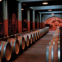 Penfolds Super Premium Tasting and Tour