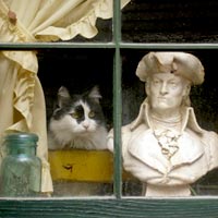 Beacon Hill Masterpieces Photo Tour
