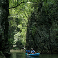 Half-Day Kayak Adventure to Ao-Thalane