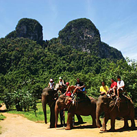 Elephant Trek and Elephant Bath Tour
