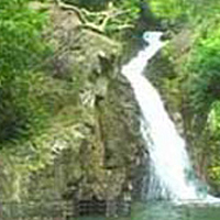 Elephant Trek and Krabi Sights Tour