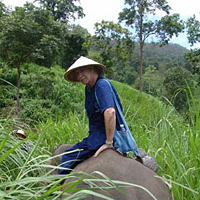 One-Day Mahout Training Course
