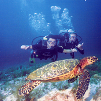 Two-Tank Dive at Cozumel Marine Park with All-Inclusive Day Pass (for certified divers)
