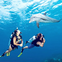 Cozumel Dive Package (for certified divers)