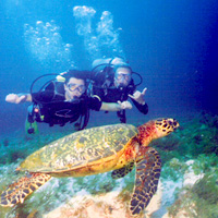 Open Water Diver Training