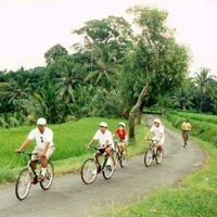 Bicycling Tour through Bali’s Countryside