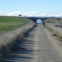 Rail Trail Active: Queenstown 1-Day or 3-Day Cycling Tours