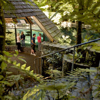 Rainbow Springs Nature Park