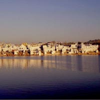 Pushkar Full-Day Tour + Camel Safari