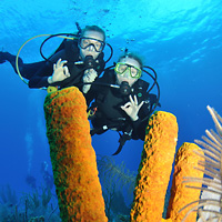 Grand Cayman Scuba Dive