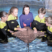 Ripley’s Aquarium
