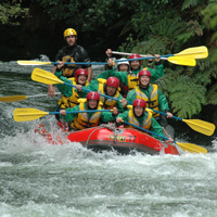 Kaituna River Rafting Experience