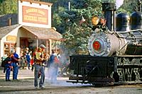 Steam or Beach Railroad Adventure
