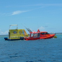 Private Nadi Airport to Malolo Lailai Island Resorts/Hotels Fastboat Transfer Service