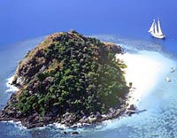 Whale's Tale Sail and Snorkel Cruise