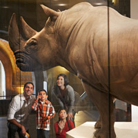 Royal Ontario Museum