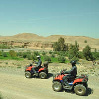 Quad Biking Safari Through the Palmgroves