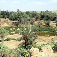Pre-Saharan 4x4 Desert Safari to Assaka, Including Lunch