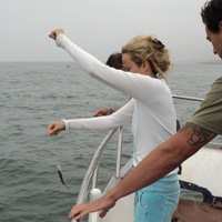 Full-Day Agadir Cruise, Including Lunch