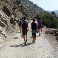 Half-Day Trekking in the Atlas Foothills