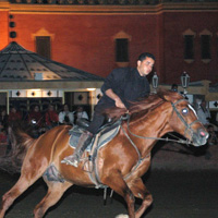 Fantasia - Moroccan Dinner and Live Show