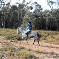 Horse Riding Tour via the Royal Palace to the River Souss