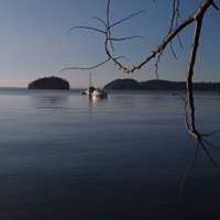 Chuckanut Bay Cracked Crab Dinner Cruise
