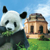 The Schönbrunn Zoo