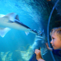 Sea Life Centre