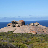 Kangaroo Island Highlights Day Tour with Lunch