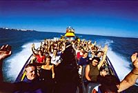 Lakefront Speedboat Tour