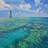 Snorkel and Kayak Island Ting