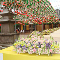 Afternoon Aquarium, River, and Temple Tour