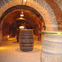 Vitoria and Rioja Wine Area Tour