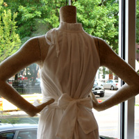 Lincoln Park Shopping Tour