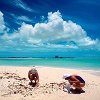 Glass-Bottom Boat Tour with Beach Stops