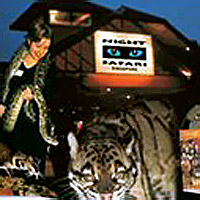 Night Safari Adventure with Roundtrip Transfer
