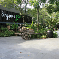 Singapore Zoo Admission with Roundtrip Transfer