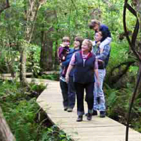 Tasmania Flexi 5 Attractions Pass