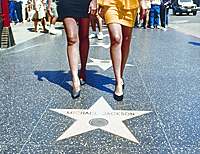 Hollywood 1-Day Experience by Airplane