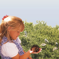 Sea Life Safari Nature Cruise and Island Stop Tour