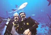Shark Adventure