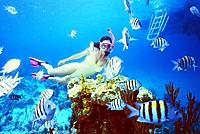 Snorkel Bahamas