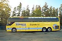 Shared Transfer YYZ to Toronto Hotel