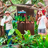 Sunway Lagoon Theme Park (Private, Full Day)