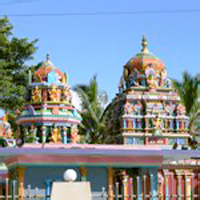 Half-Day Nadi Tour