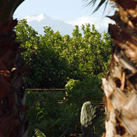Mount Etna and Alcantara Gorge Tour