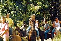 Horseback Rainforest Tour