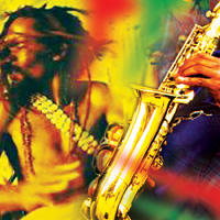 Reggae and Culture Tour